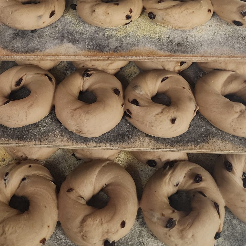 Rows of unbaked raisin bagels on wooden trays dusted with flour, ready for baking.